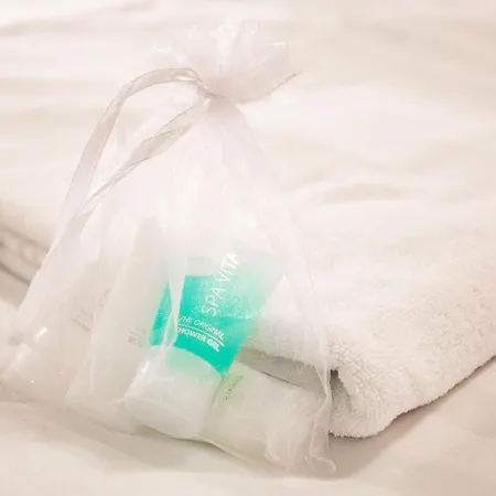 Vanha Hotel 3*